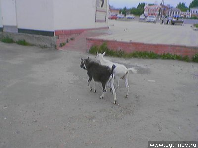 =   