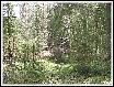 IMG_3961.JPG