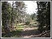 IMG_3996.JPG