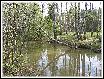 IMG_4019.JPG
