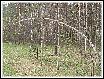 IMG_4095.JPG