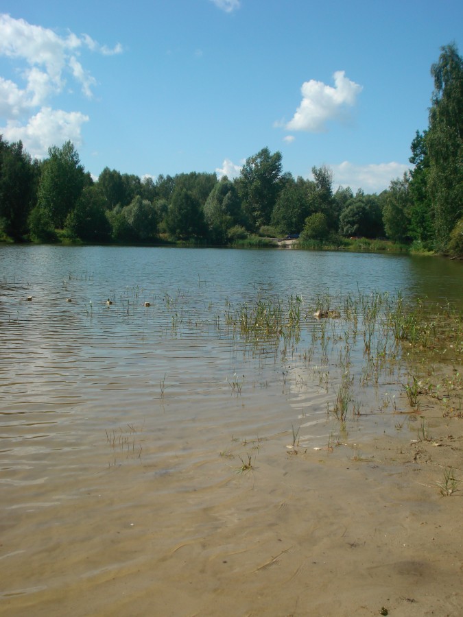 Озеро Спиринское Богородский