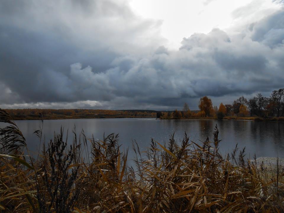 Озеро Спиринское Богородский