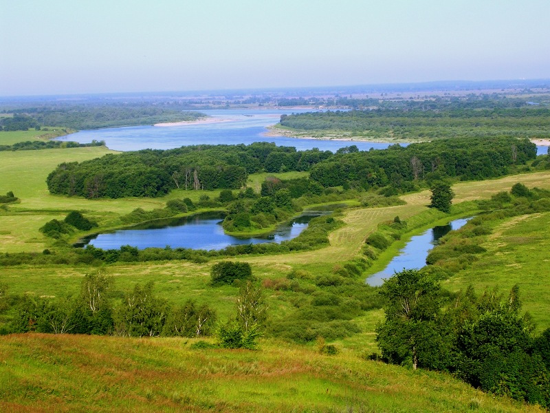 Какая поверхность земли. Формы земной поверхности Нижегородской области. Природа Богородского района Нижегородской. Поверхность земли Нижегородской области. Земная поверхность Нижегородской области.