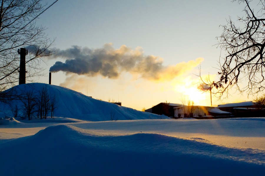 Крутушка богородск фото