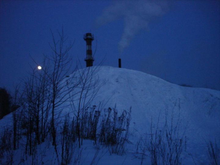 Крутушка богородск фото