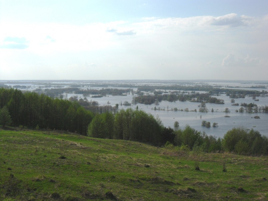 Погода венец сосновского. Деревня Сокол Богородский район. Деревня венец Нижегородской области. Венец Богородский район. Деревня венец Богородский район.