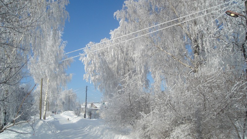 Прогноз погоды г богородск нижегородская область