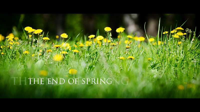 The end of spring,     