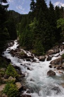  (DSC_5656.JPG, 229.67 Kb, 230 )