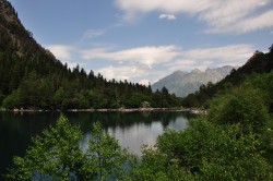   (DSC_5681.JPG, 186.18 Kb, 346 )