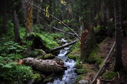   (DSC_5726.JPG, 267.74 Kb, 220 )