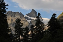   (DSC_6120.JPG, 172.56 Kb, 342 )