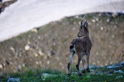   (DSC_6735.JPG, 131.44 Kb, 968 )