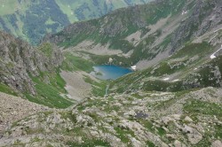   (DSC_6788.JPG, 296.67 Kb, 441 )