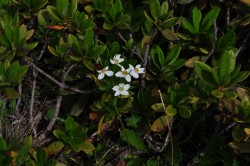   (DSC_6791.JPG, 166.41 Kb, 745 )