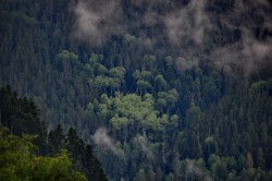   (DSC_6816.JPG, 160.02 Kb, 792 )