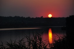   (DSC_6841.JPG, 76.86 Kb, 990 )