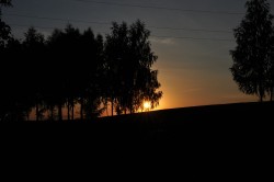   (DSC_6851.JPG, 72.86 Kb, 979 )