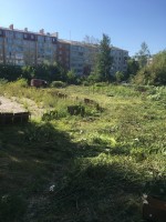   (IMG_4451.JPG, 263.03 Kb, 373 )
