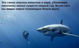   (i (2).jpg, 27.88 Kb, 762 )