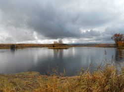   (DSCN2499.JPG, 151.6 Kb, 1030 )