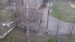   (20171028_105351.jpg, 188.16 Kb, 1091 )
