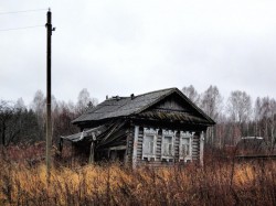   (DSC08556.JPG, 186.79 Kb, 967 )