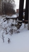   (20180201_143528.jpg, 141.73 Kb, 541 )