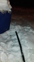   (20180209_211249.jpg, 83.41 Kb, 492 )