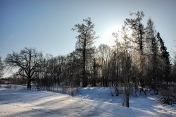   (DSC_0427.JPG, 232.19 Kb, 478 )