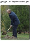   (vCxSMdfuOBI.jpg, 69.22 Kb, 549 )