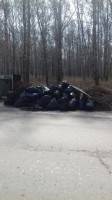   (20180502_100335.jpg, 177.26 Kb, 482 )