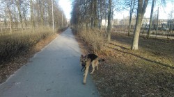   (IMG-5b9c767989d32dd3e6e419787bd57a4b-V.jpg, 207.72 Kb, 291 )