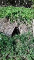   (20180513_081416.jpg, 339.08 Kb, 207 )