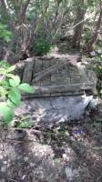   (20180513_083631.jpg, 238.82 Kb, 211 )