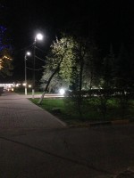  (IMG_1955.JPG, 150.26 Kb, 829 )