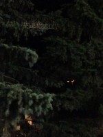   (IMG_1957.JPG, 106.49 Kb, 844 )