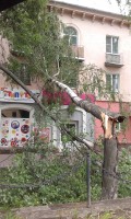  (20180530_132530.jpg, 251.08 Kb, 779 )