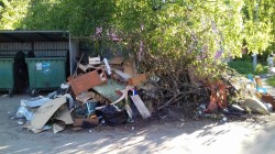   (20180616_182130.jpg, 241.72 Kb, 246 )