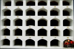   (15690000.jpg, 77.78 Kb, 789 )