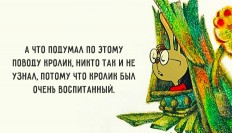   (krolik.jpg, 76.79 Kb, 465 )