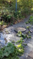   (20181004_092920.jpg, 256.32 Kb, 218 )