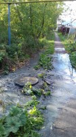   (20181004_092929.jpg, 248.82 Kb, 225 )