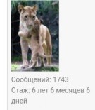   (IMG_20181009_234654.jpg, 14.46 Kb, 392 )