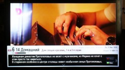   (P1090103-2.jpg, 117.17 Kb, 704 )