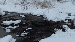   (20190227_144336.jpg, 138.82 Kb, 392 )