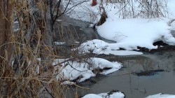   (20190227_144340.jpg, 195.25 Kb, 267 )