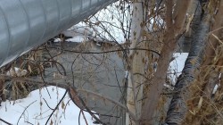   (20190227_144343.jpg, 186.49 Kb, 300 )