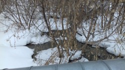   (20190227_144405.jpg, 234.67 Kb, 223 )